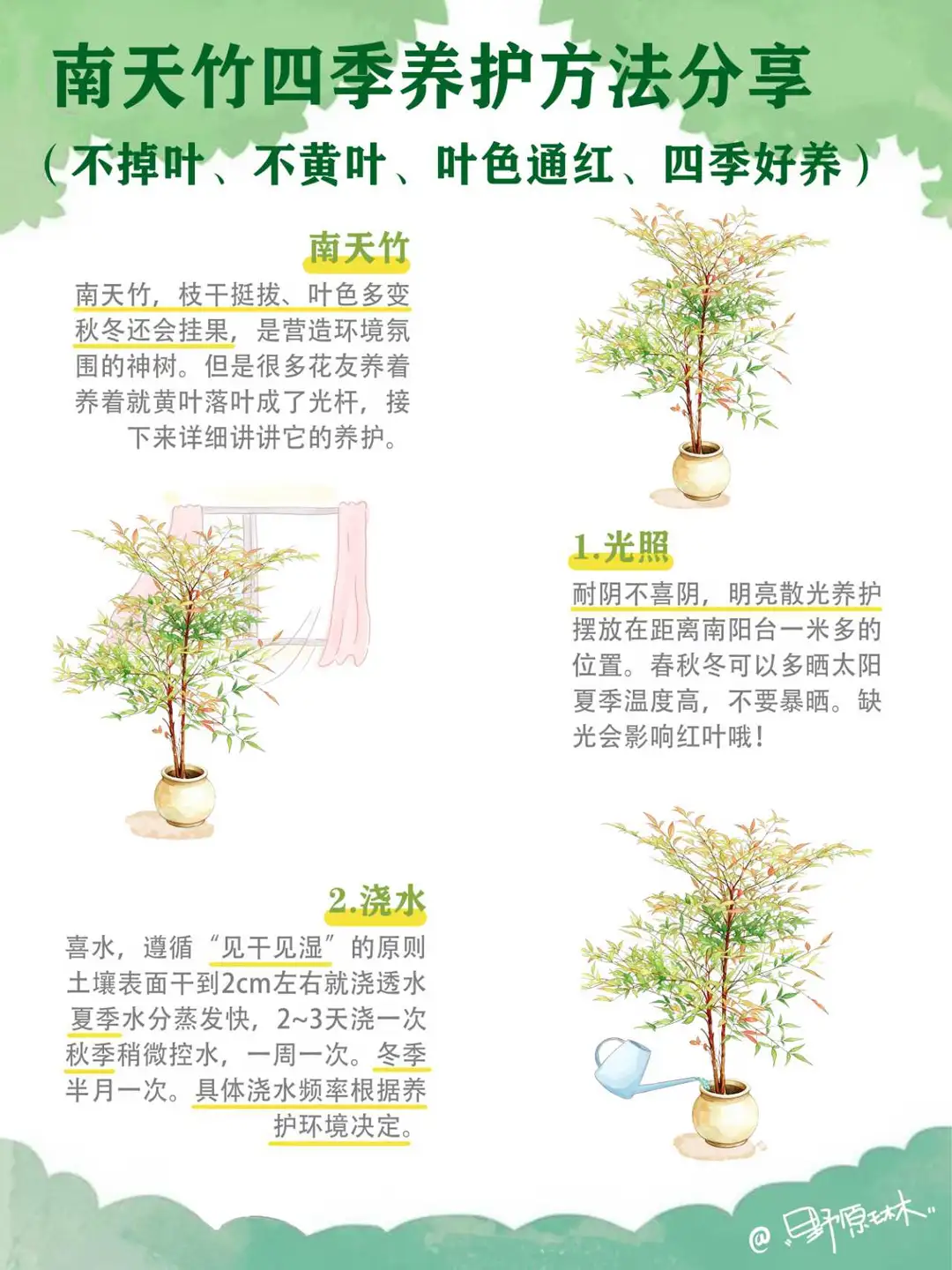 南天竹室内室外养护方法分享