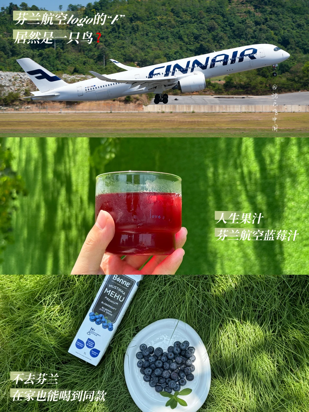 芬兰航空logo的“F”，居然是一只鸟❓