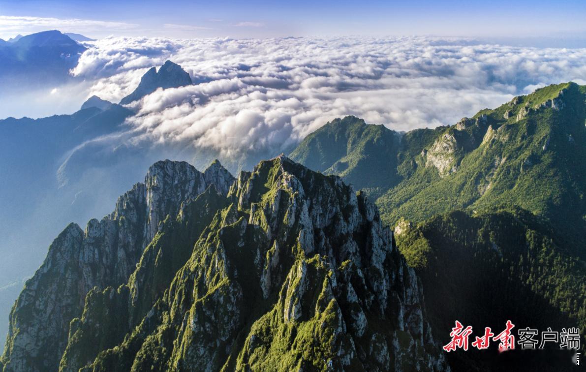 【康乐：“避暑+康养”撬动县域热经济】初夏时节，康乐县太子山脚下，山风...