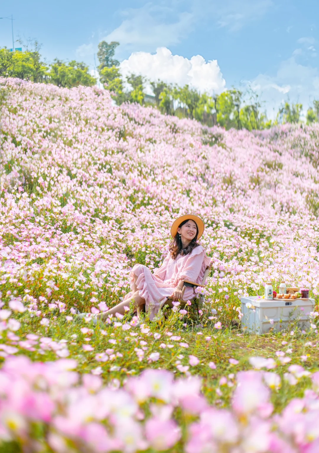 重庆应该找不出更盛大的春天了🌸露营拍花