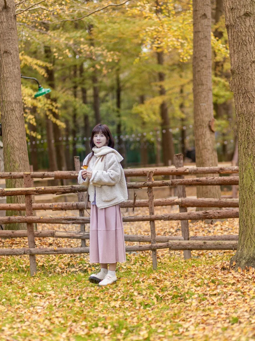 今天的快乐，从遇到一片银杏林开始