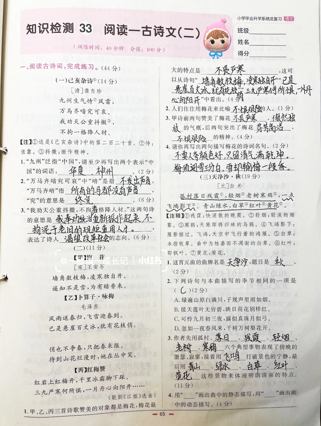 六下语文，知识检测阅读—古诗文