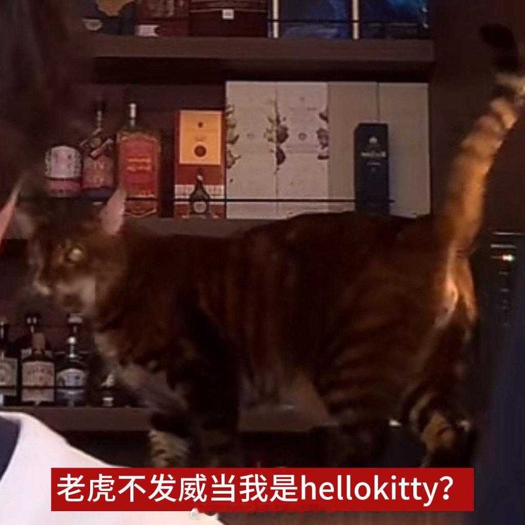 真正的猛虎坦克 ​