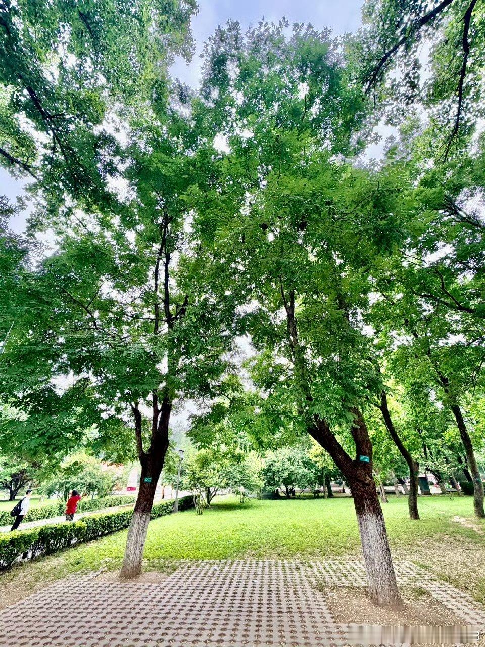 巴菲特：在康菲石油上，我犯了一个很大的错误，在油价非常高的时候，我买了...