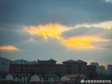 万万没想到在本命这一年被人性的种种复杂戳中 久久难以平息