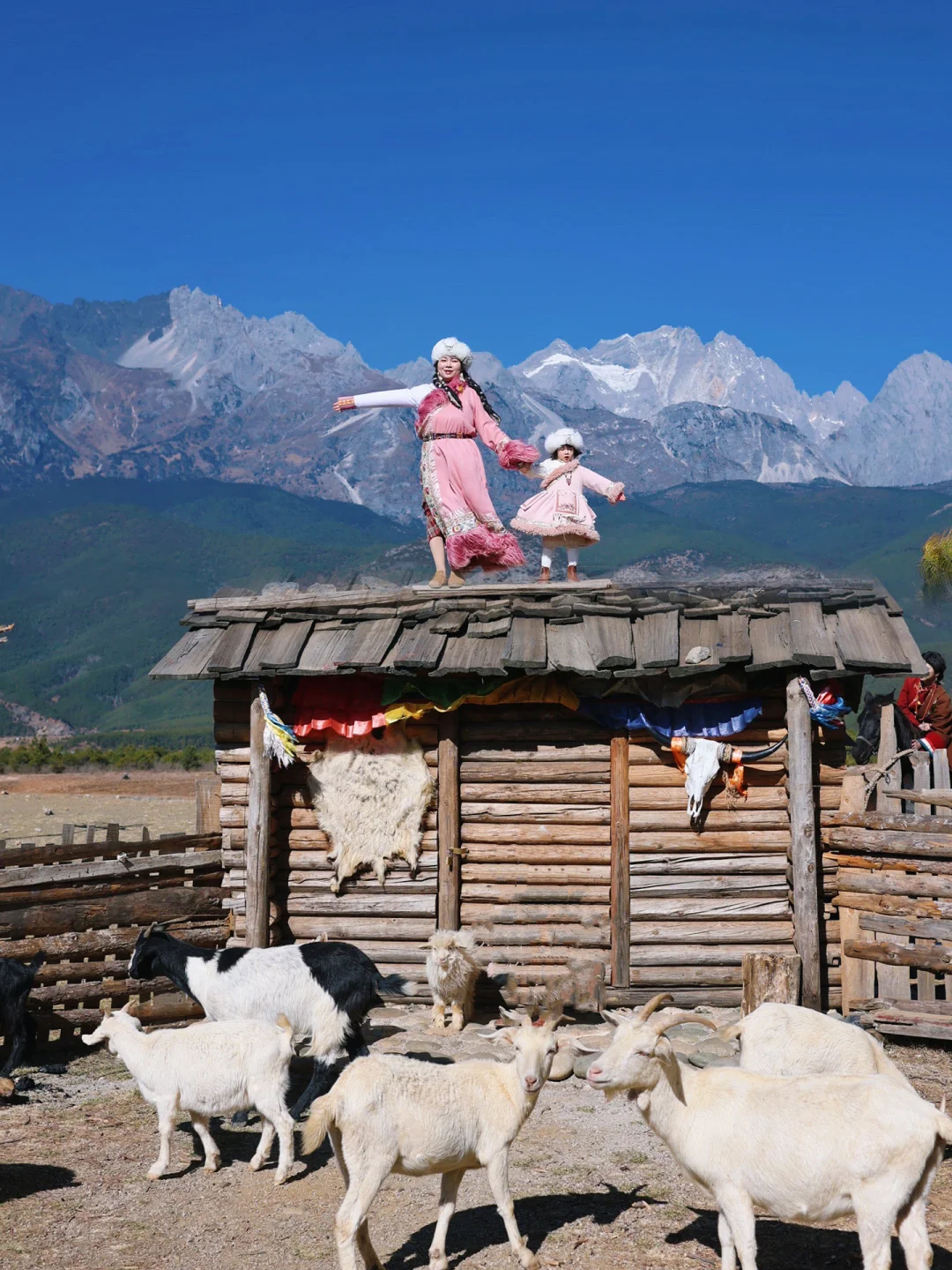 离开丽江后，让我后劲最大的Top1️⃣0️⃣（合集）