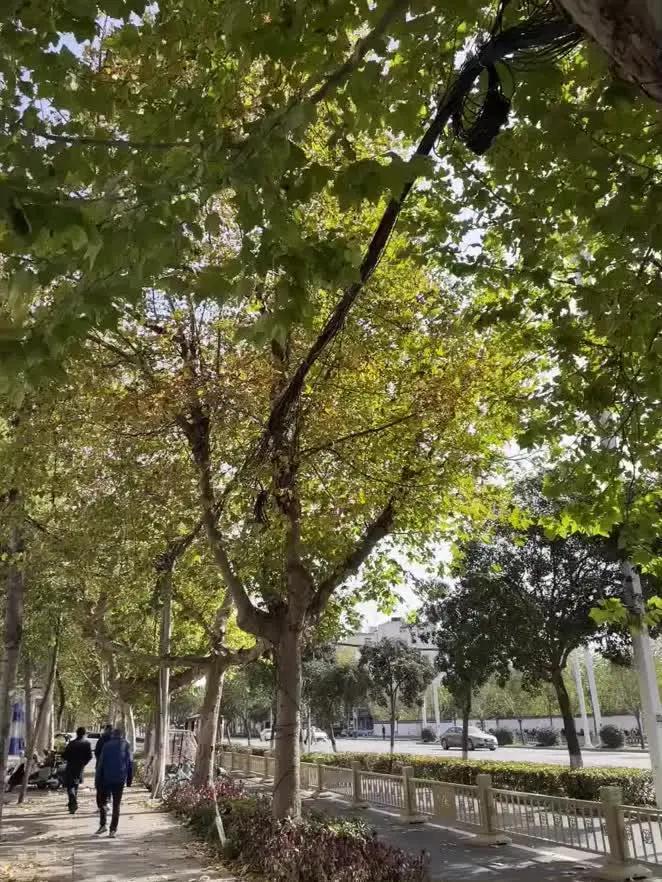 我的crush，现在是爱人啦～