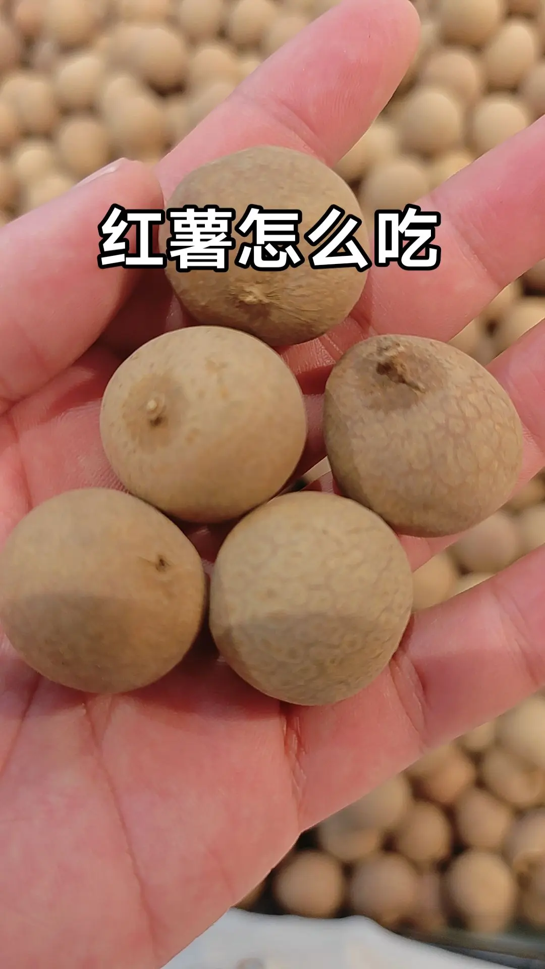 马刺还是太年轻了，关键失误&amp;绝杀不中，马刺主场再负尼克斯  文班亚马错失绝杀