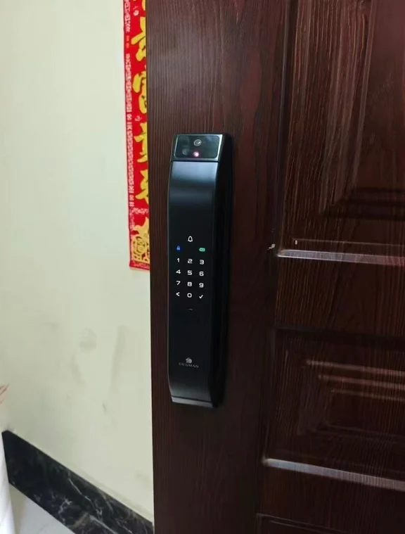 家用闭眼入✨德施曼Q5FPro实用全能智能锁