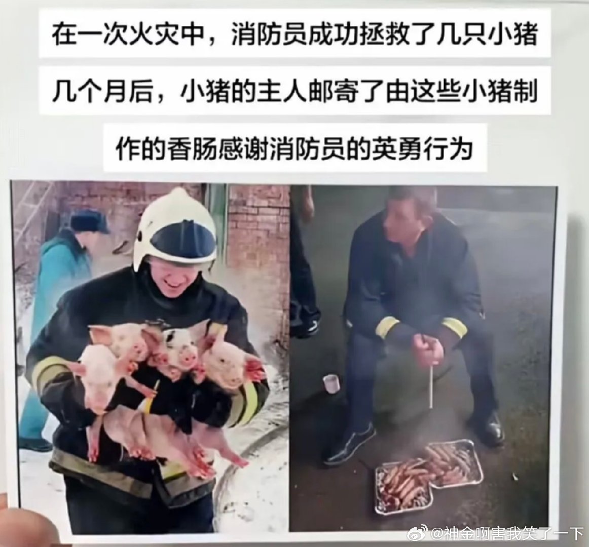 6784
消防员懵逼中 ​