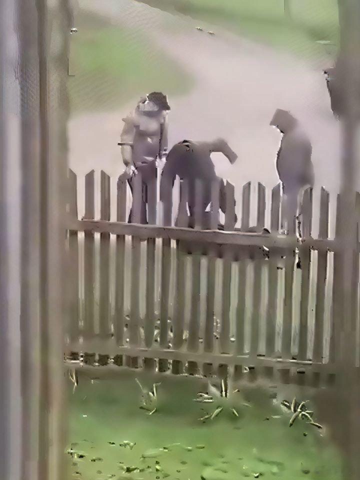 【乌克兰新兵首战不在前线，那究竟发生在何处？竟是街头>> 乌克兰新兵首战不在前线，那究竟发生在何处？竟是街头 (来自 ​