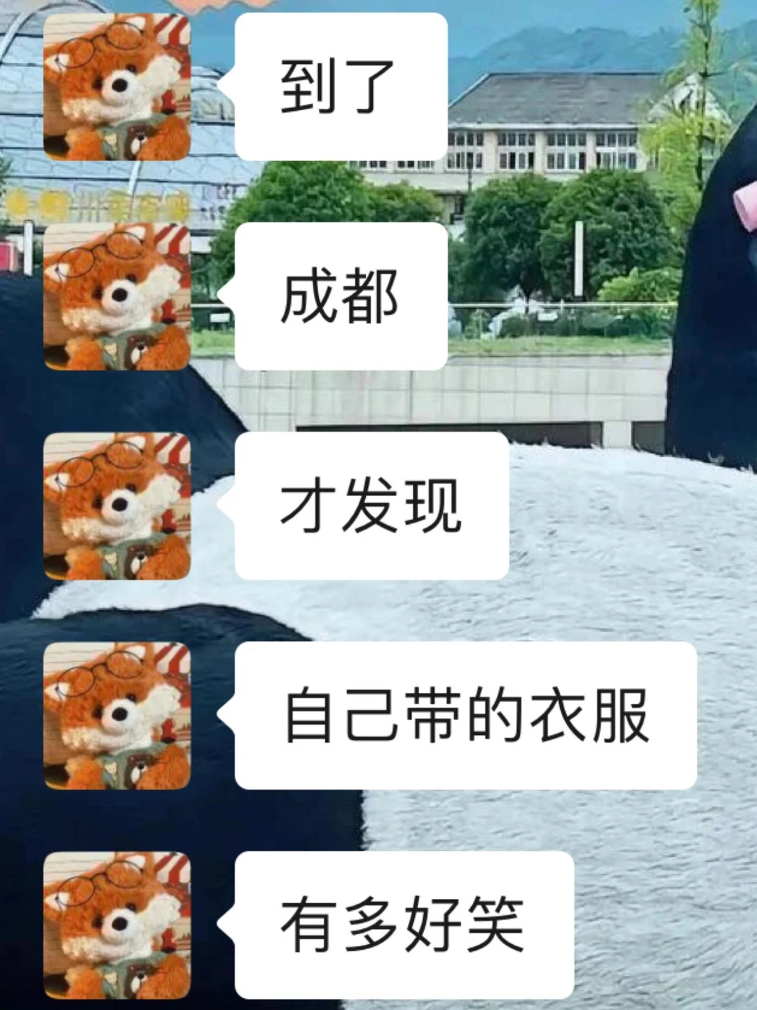 3月来成都旅游，真的不要乱带东西了‼️