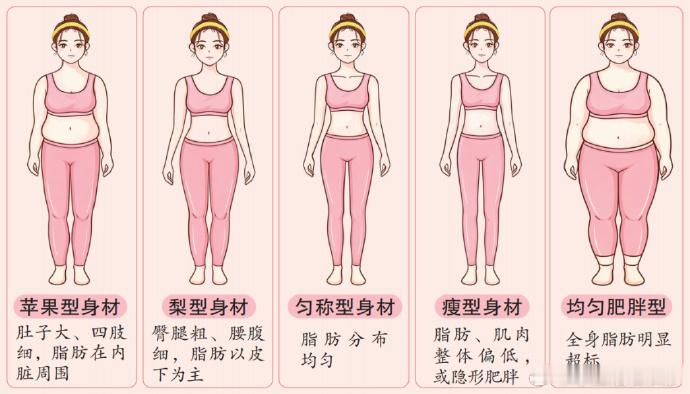 根据脂肪分布特点，可将体型分为五种：  ▶️ 苹果型身材，肚子大...