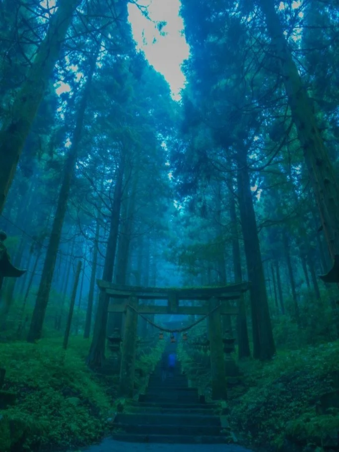 日本熊本县｜现实和萤火之森的世界分不清楚