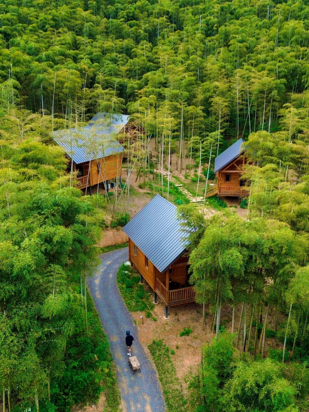 真不在国外！在浙江找到了童话里的森林木屋！