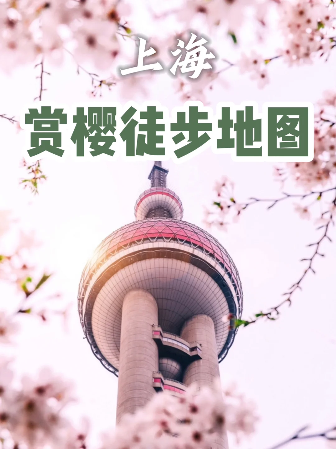 🌸魔都赏樱citywalk路线合集 附地图