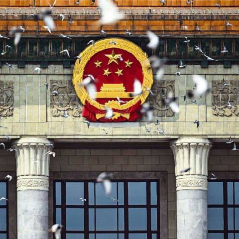 Leo大弟子