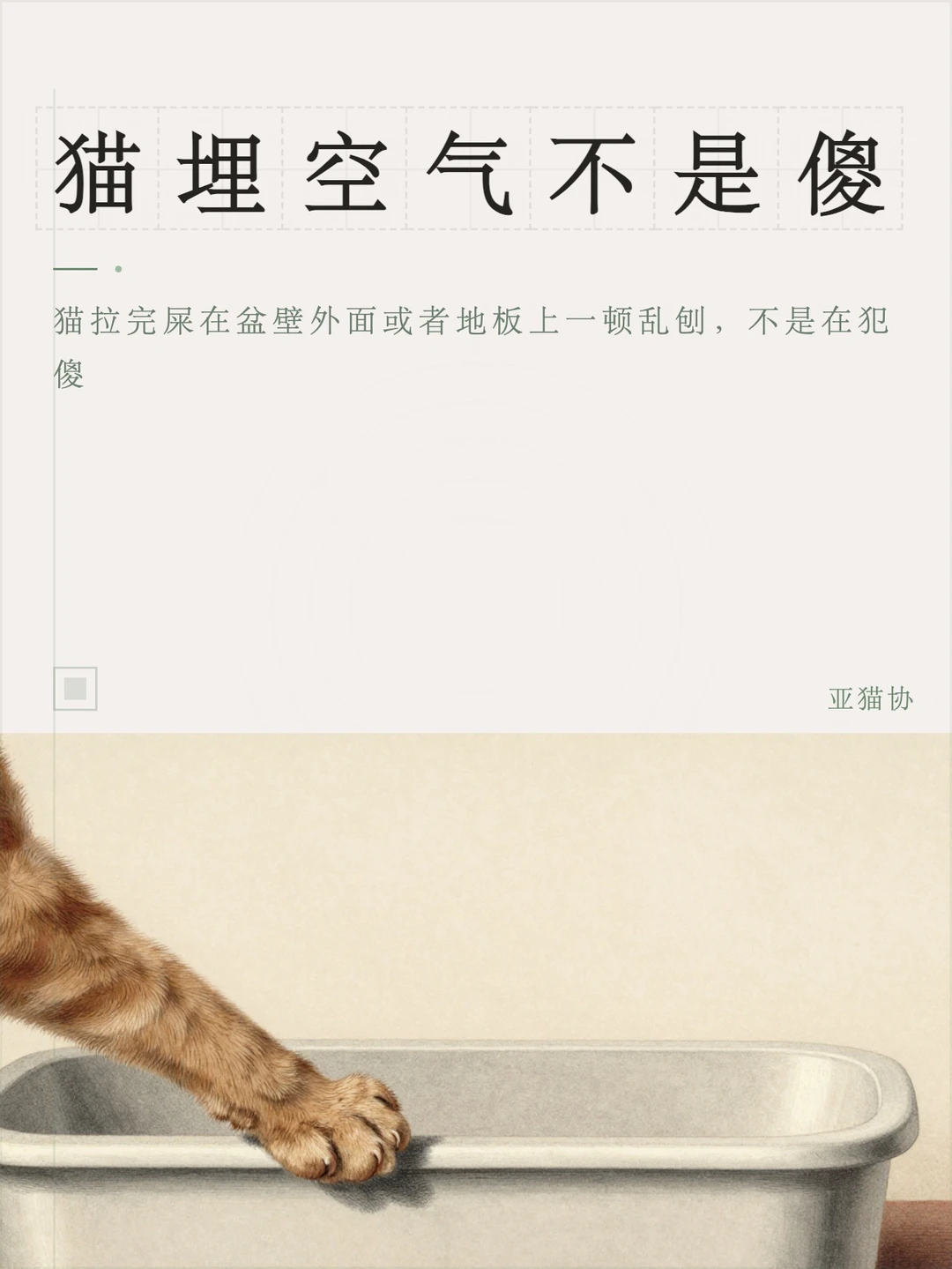猫埋空气不是傻