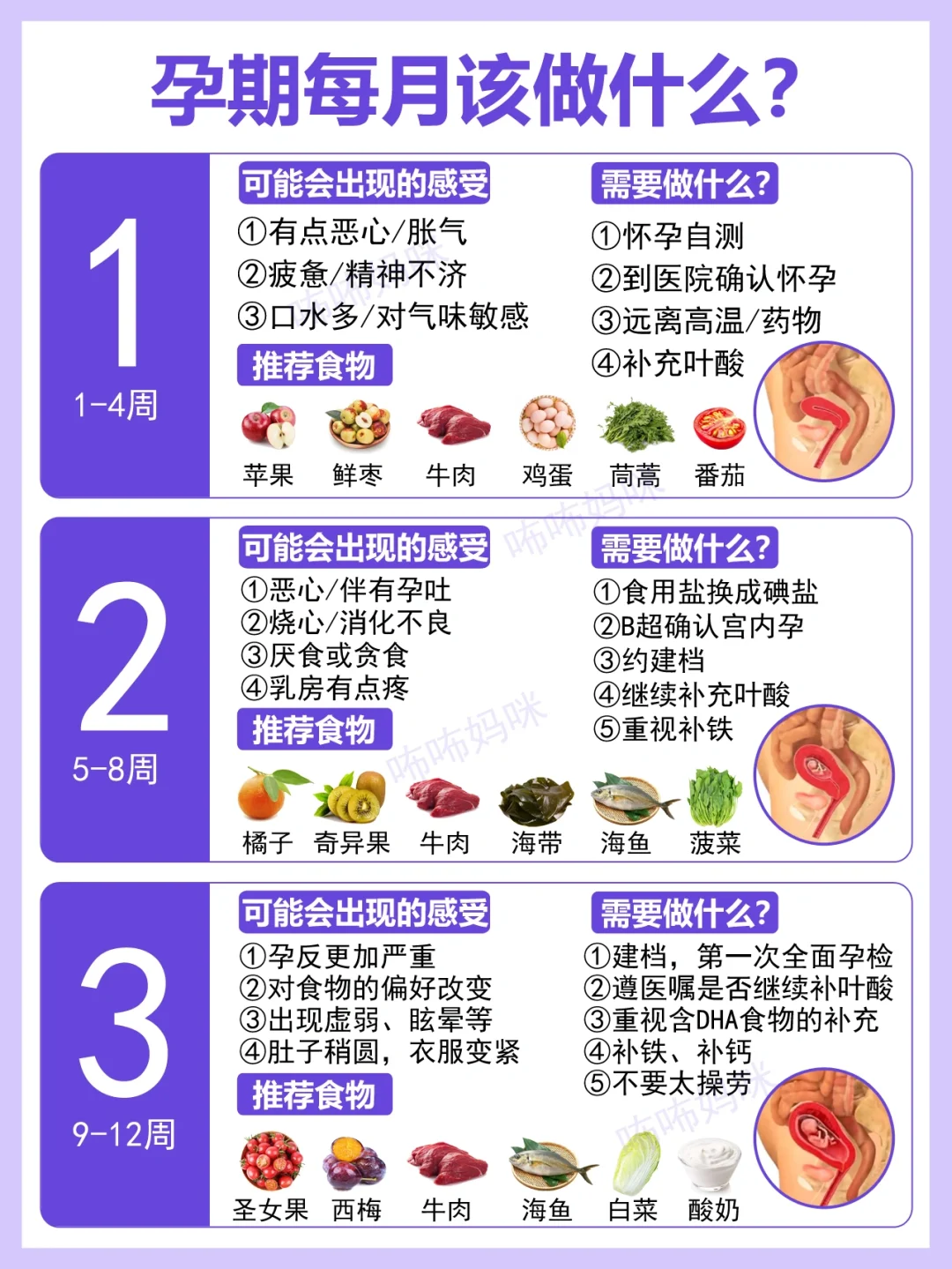 孕期别乱补！每月要做的事+营养补充指南✅