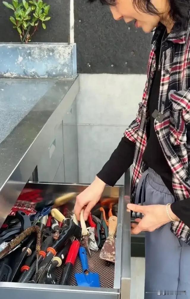 61岁的张曼玉蹲在自家露台刨芋头，手上沾着泥土，笑得像个孩子。
昔日红毯上的明星，如今穿着旧格纹衬衫，扎着马尾，素颜面对阳光。她用剪刀修剪枝叶，拿铲子松土，当芋头被挖出来时，那份开心溢于言表。
她提到自己接触园艺已有七年。起初觉得田园生活充满诗意，亲身体验后才知其中辛苦。此前在法国波尔多的庄园里
