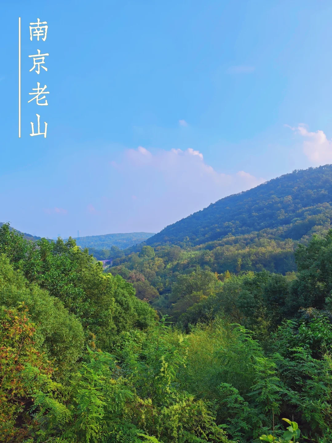 山野畅享｜南京老山国家森林公园免费开放啦