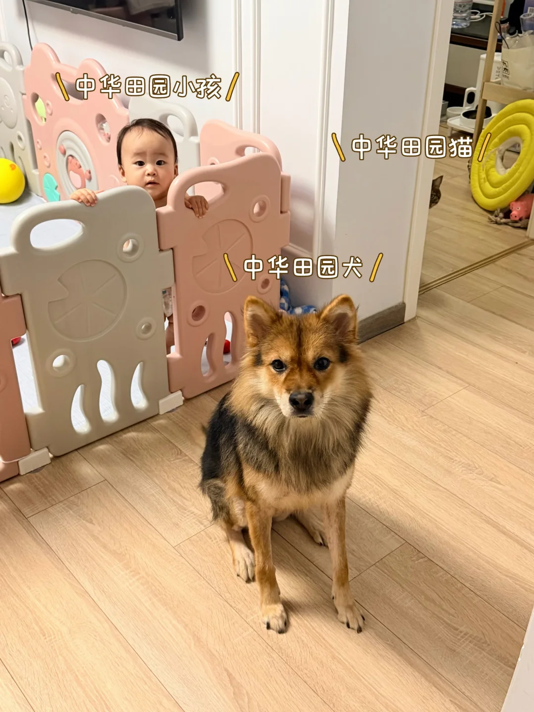 任何人都可以分享生活 包括幼崽混养基地