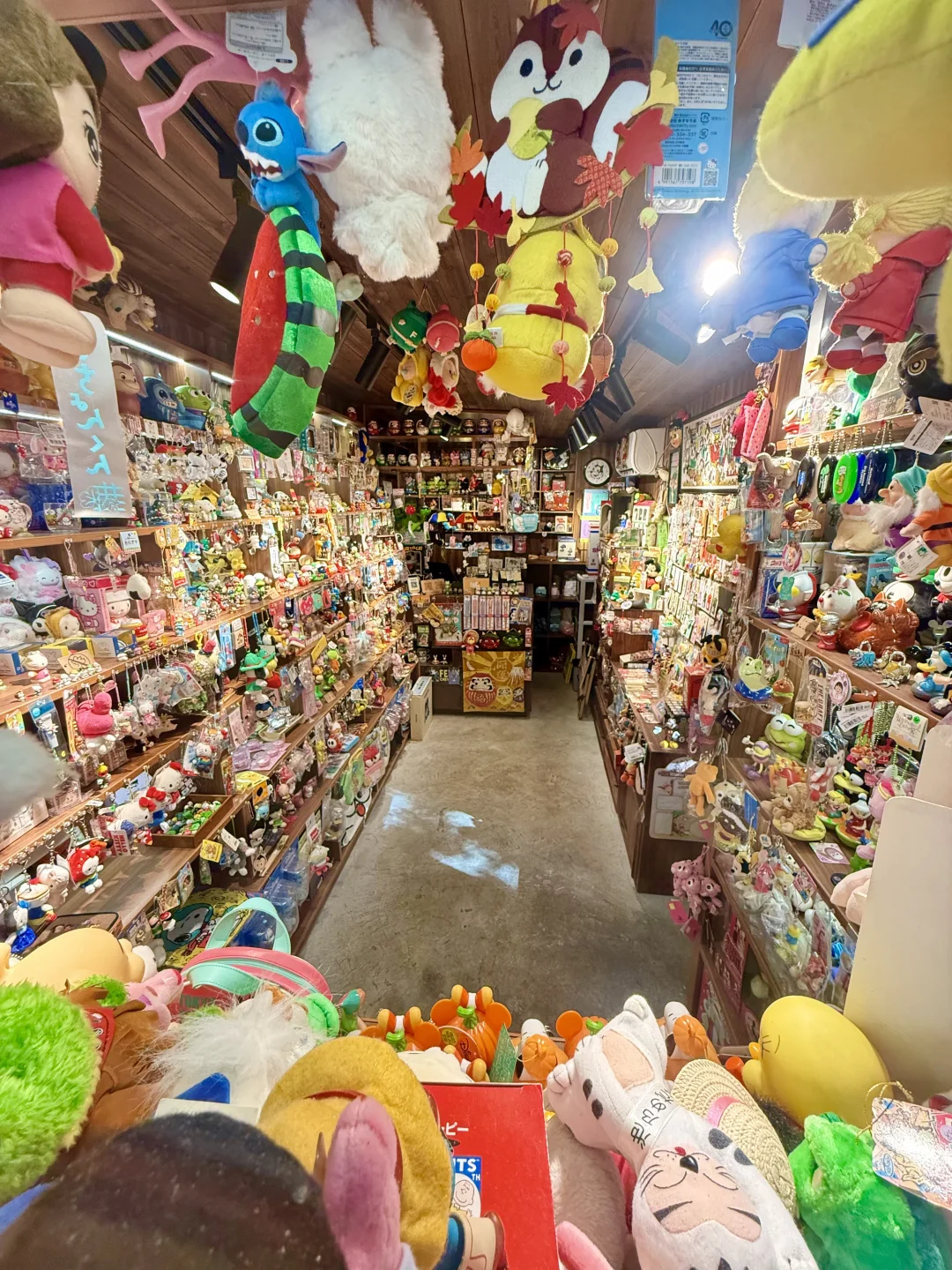 南昌路上的神仙小店‼️只一眼就想再看一眼……