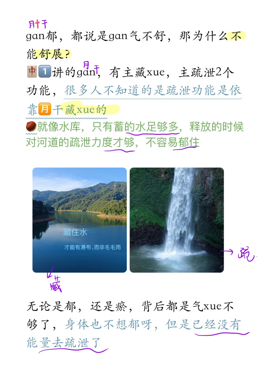 不传之秘：肝郁追到根上都是肝xue不足（附解