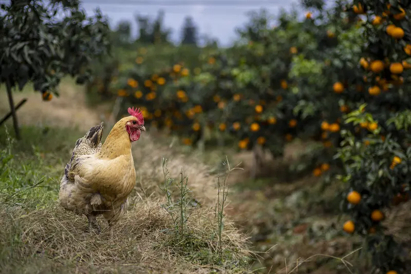 冬日生活打卡季  这晒图大赛挺有意思，就该秉持着实话实说、真人实拍的原...
