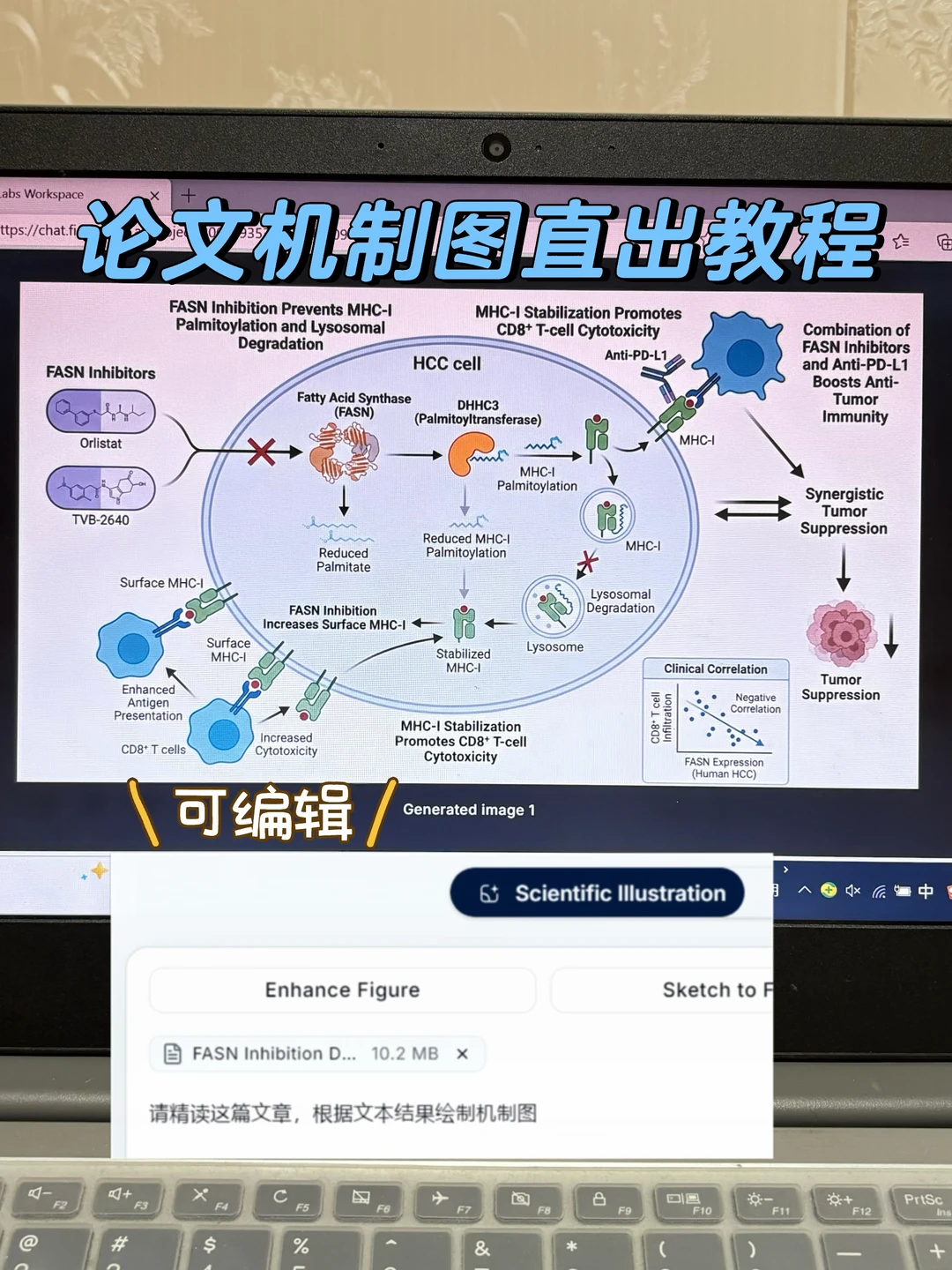 5分钟论文机制图直出教程（可编辑ppt版）❗