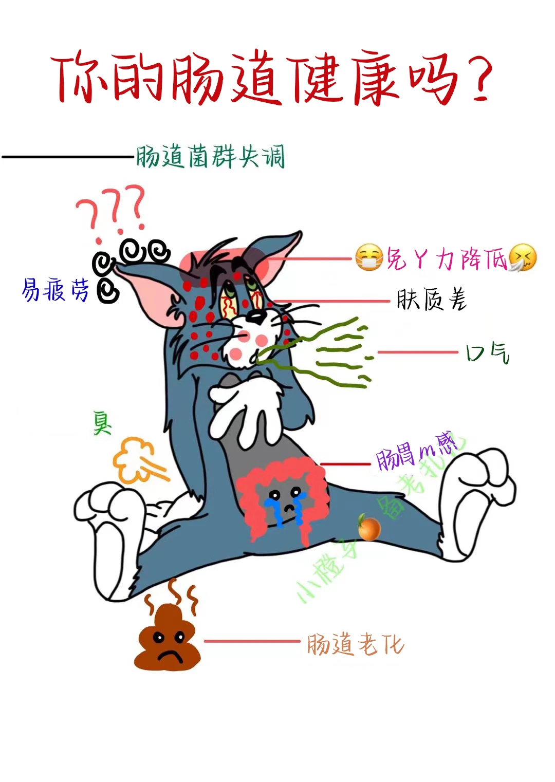 肠道健康才是真健康｜附免Y力提高清单✅