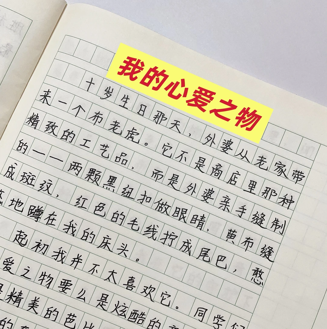 五年级上册第一单元作文：《我的心爱之物》