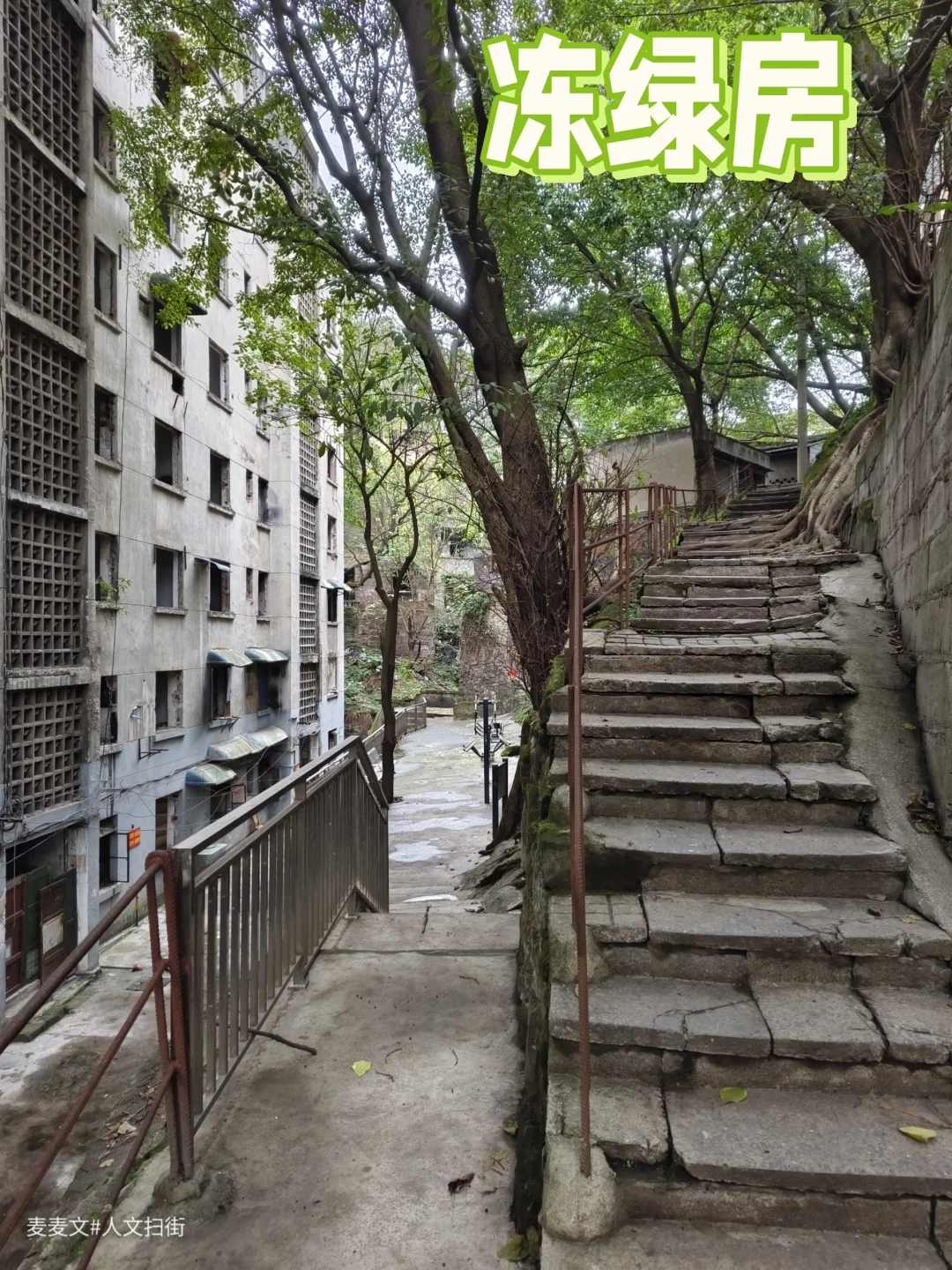 【南岸】冻绿房:岁月沉淀下的老重庆缩影