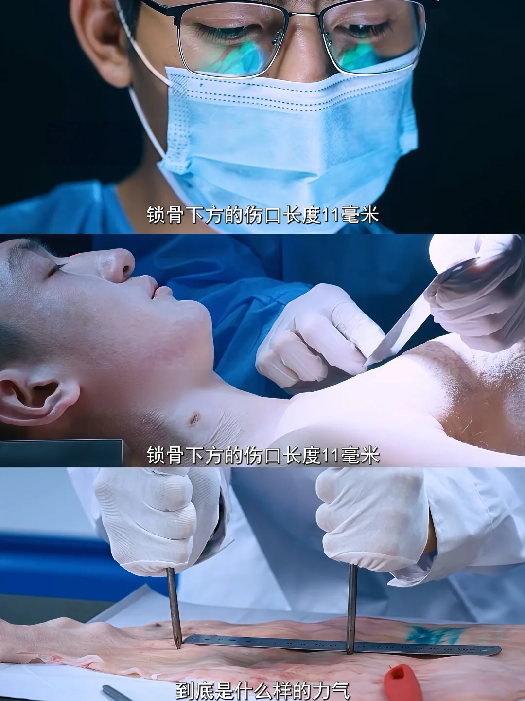 终于播了‼️刑侦悬疑‼️法医破案‼️层层反转