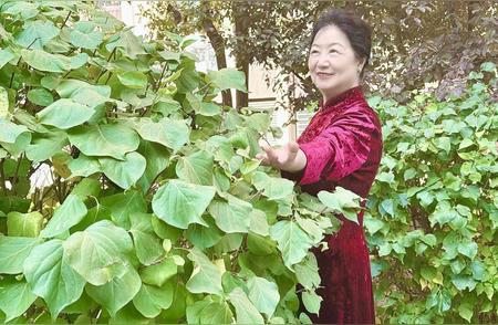 做个优雅的女人👩