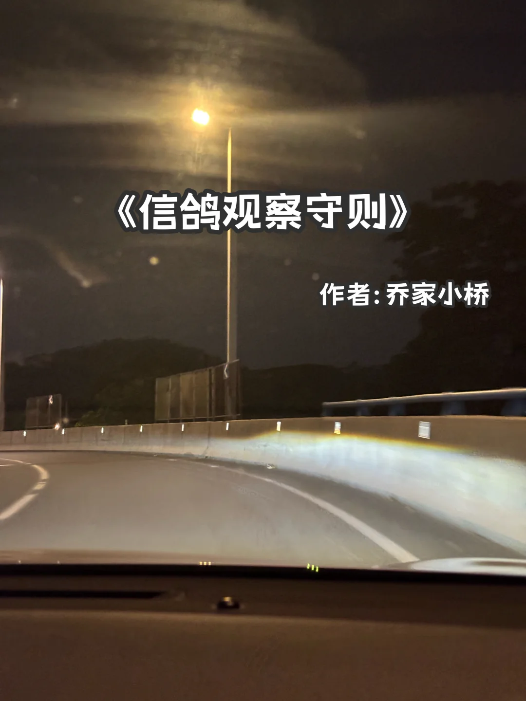 宅家小说｜很惊艳的奇幻爱情《信鸽观察守则》