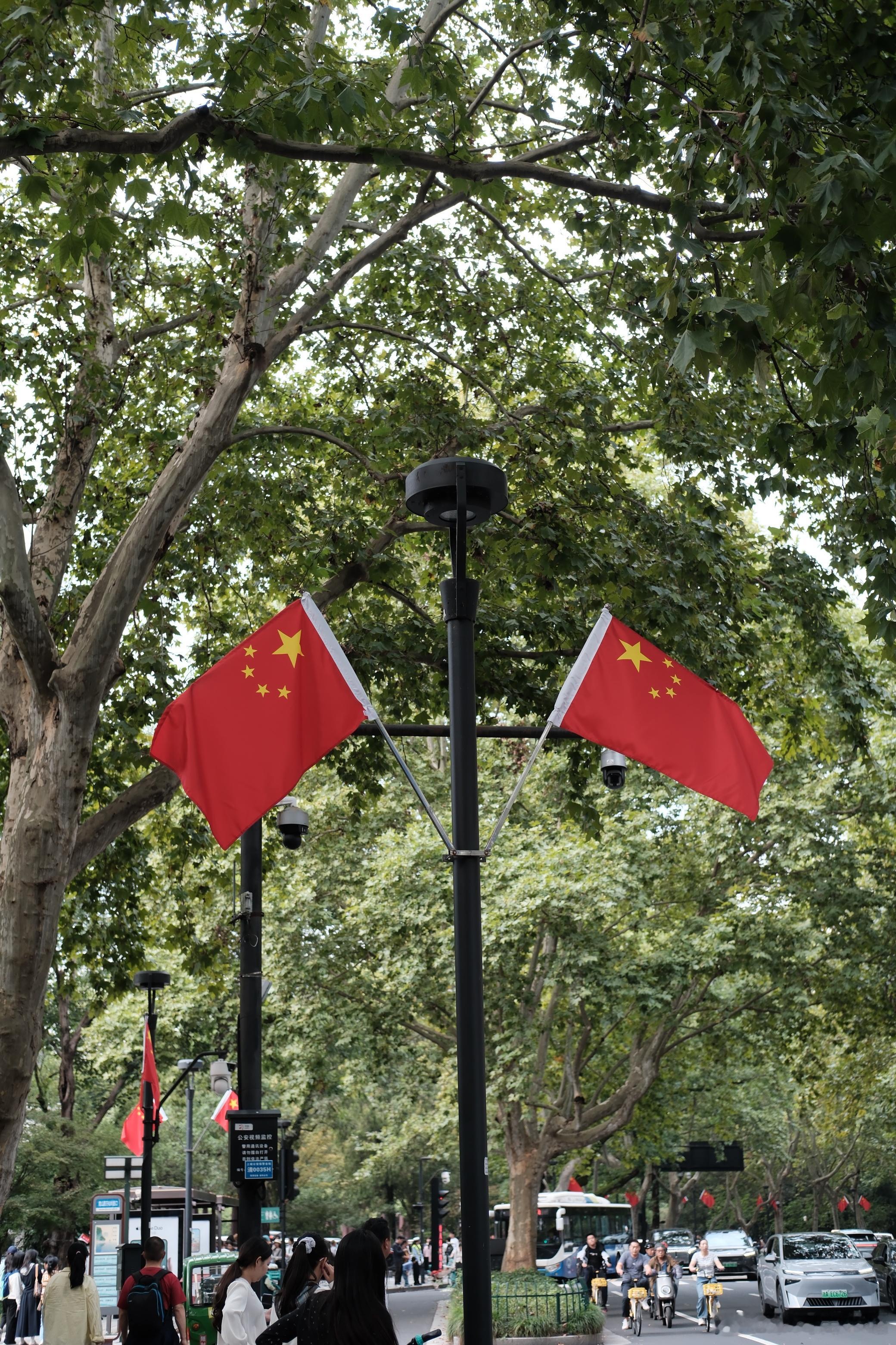 一大波游客照上线[卡皮巴拉] ​