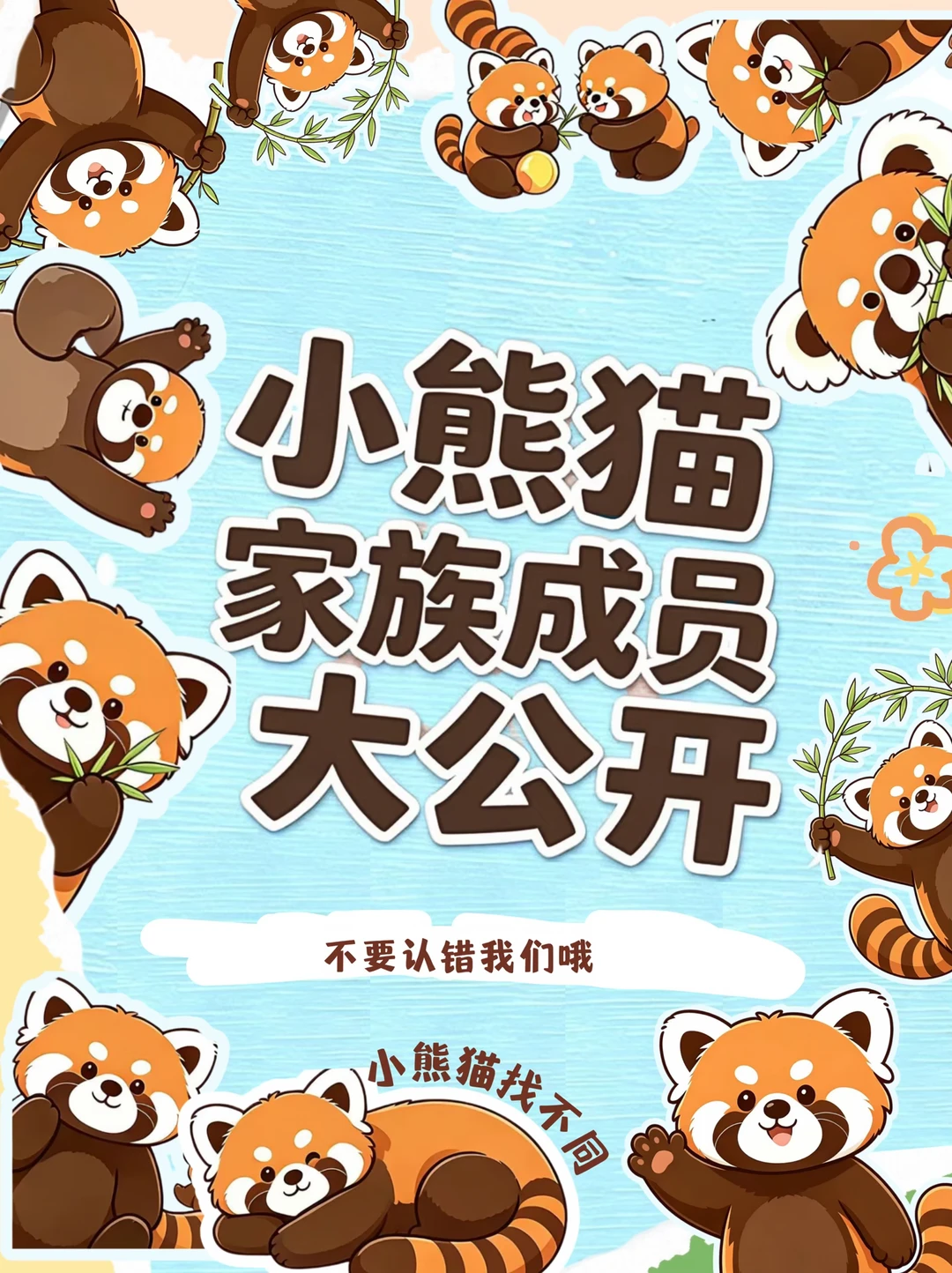 银基小熊猫全员出道！认熊防翻车指南来啦～