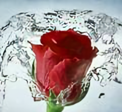 徐杰打1，奎因打2，崔永熙打3，萨林杰打4，焦泊乔打5；替补迈考尔打1...