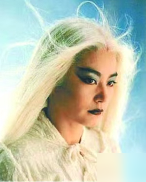 连体人设定一出，整个华语影坛都得给他让路。吴镇宇当年演姬无双，那张脸涂满油彩，半男半女缝在一块儿，开口就是邪气往骨头缝里钻。导演于仁泰让他跟吕少玲绑一起演，走个路都是两个人较劲，呼吸都不在一个拍子上。最狠的是这角色被八大派赶出中原，恨得有理有据，残忍里带着股子让人后背发凉的委屈。张国荣林青霞爱得撕心