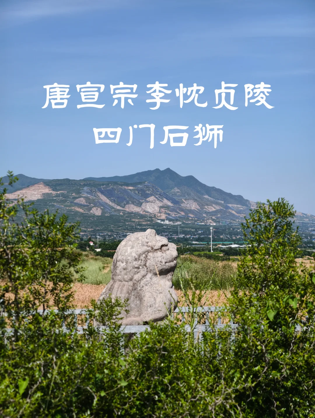 唐宣宗李忱贞陵四门石狮