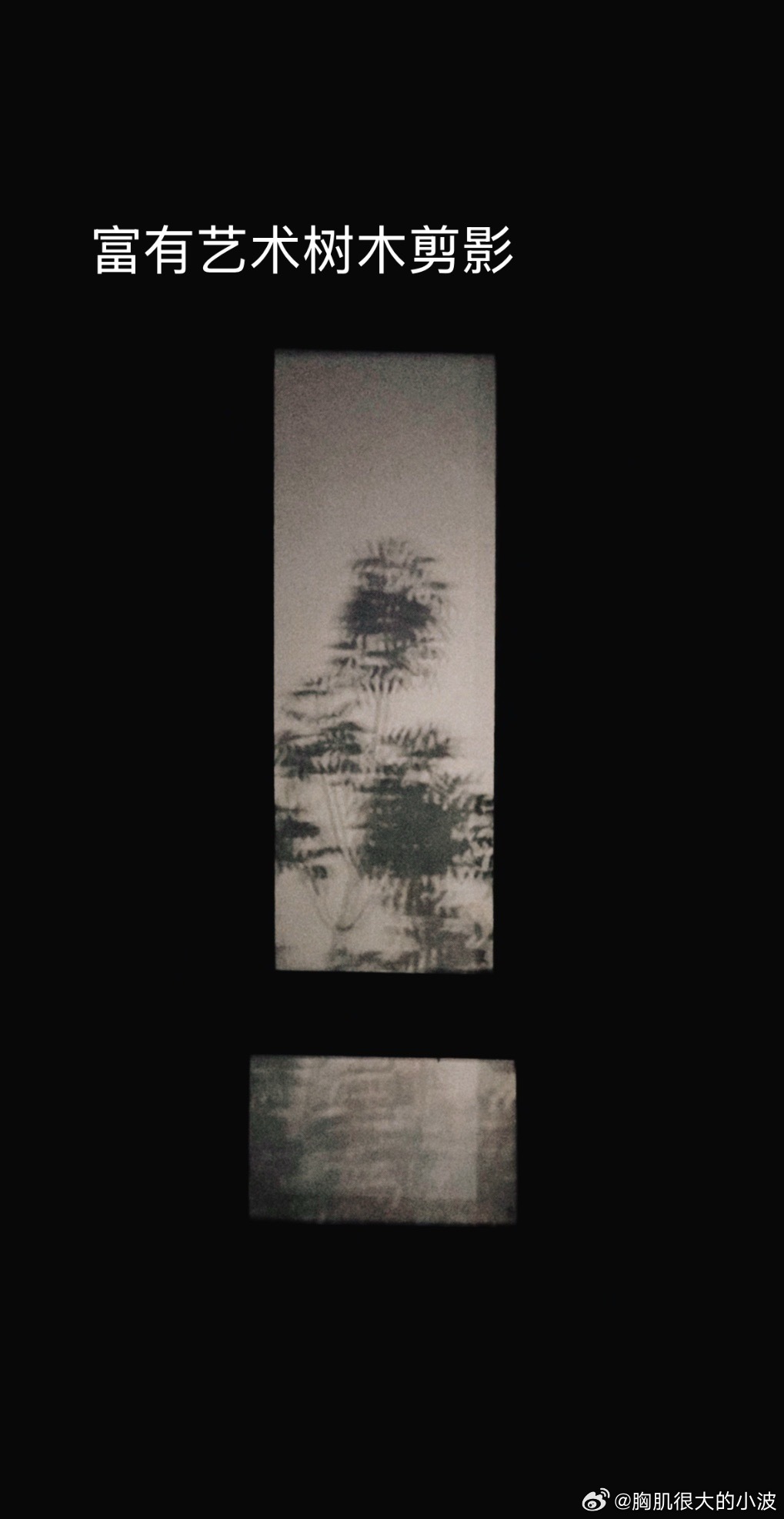 关于房子的小作文
        今年的秋天比去年的秋天要凉爽的早，还记得去年这时候顶着大太阳到处看房，太阳耀眼，汗把刘海浸湿，真没想到看个房子都这么累。我俩把新房、二手房看了一套又一套，那时候不知道买房子究竟是买怎么样的房子，就只是在中介的带领下，机械的进了小区，穿过弯弯绕绕的门厅，坐 ​