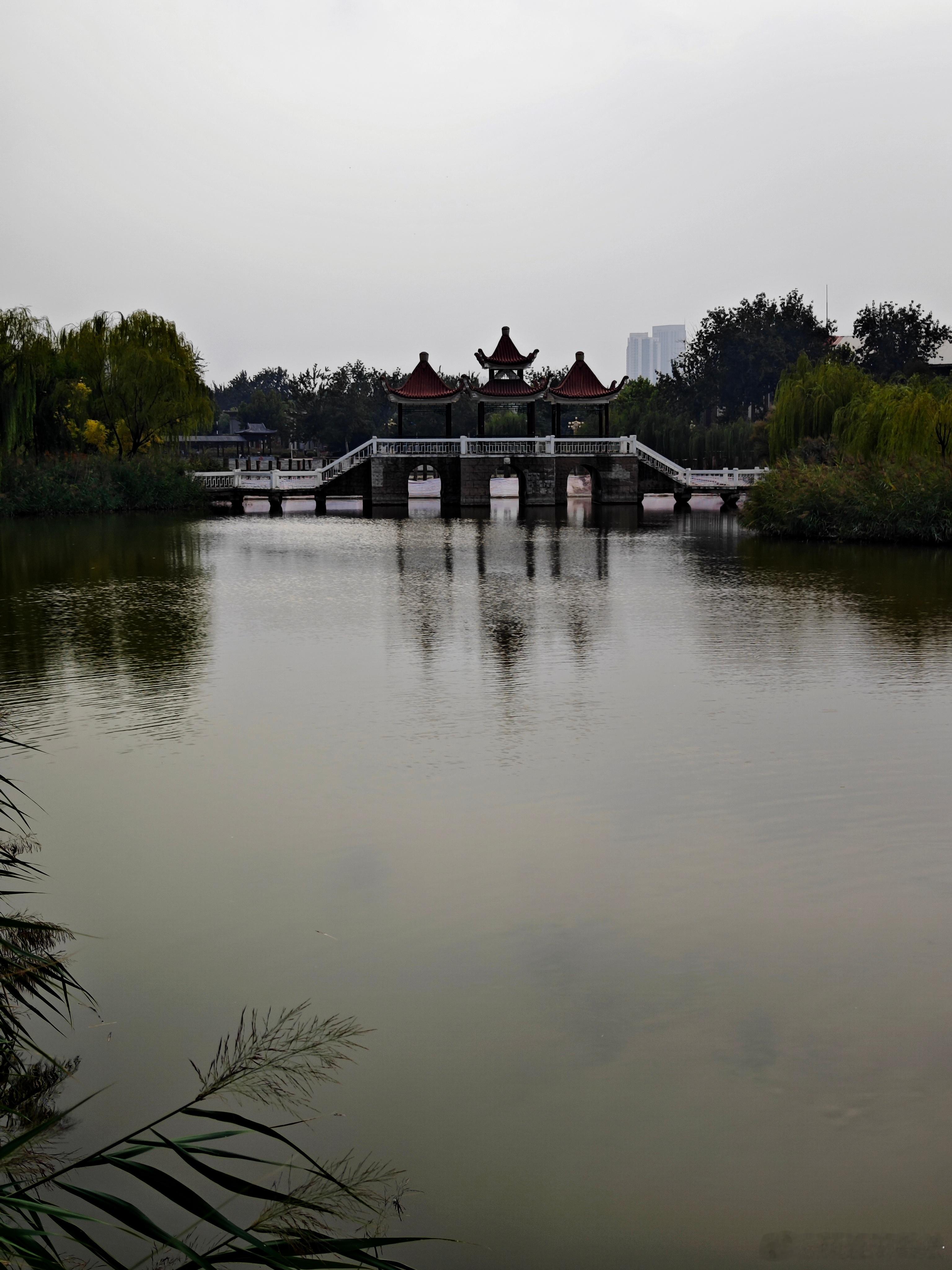 随手拍[超话] 天津二宫公园秋景（颜春来随手拍） ​​​