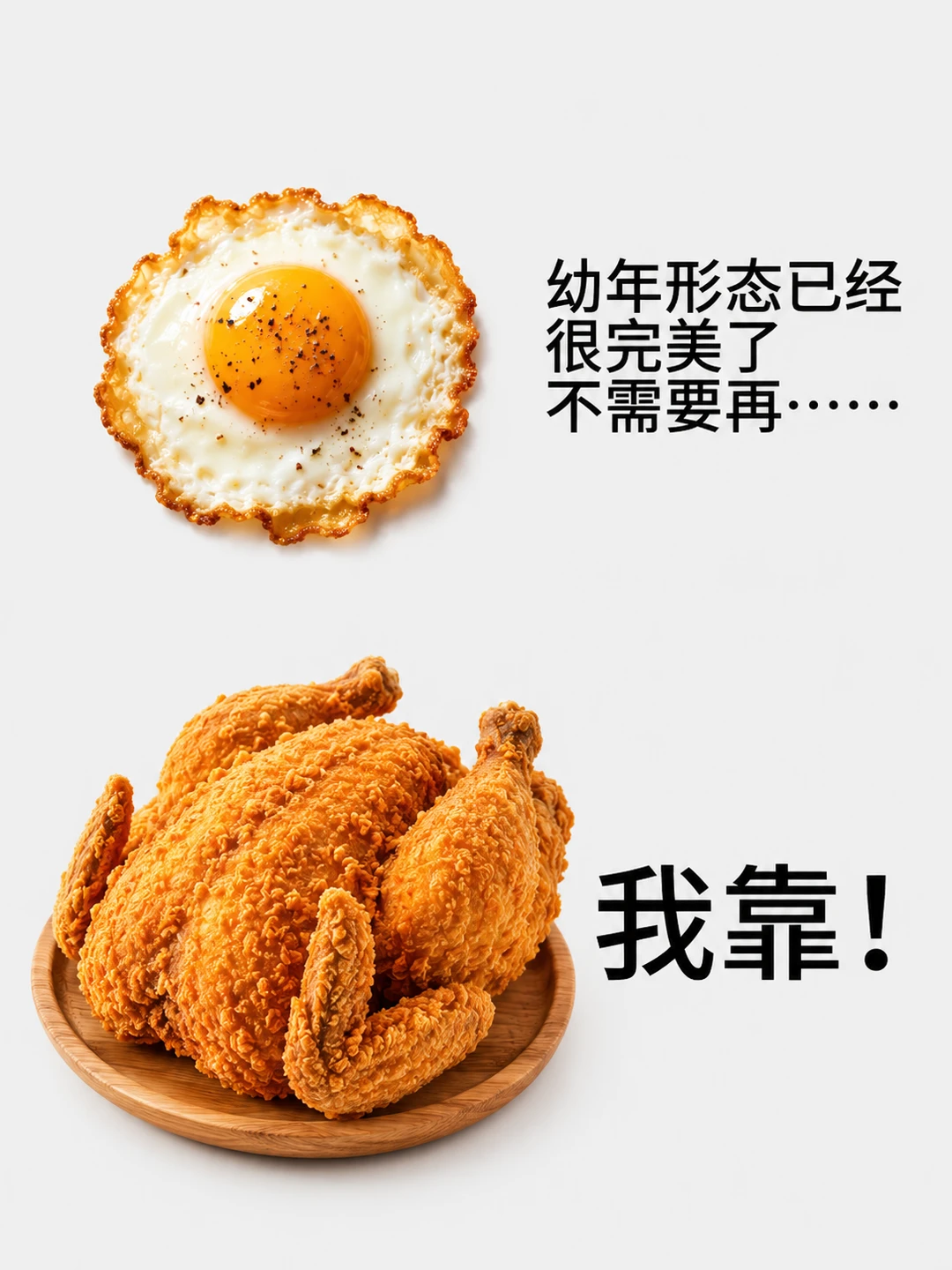 幼年形态已经很完美了，不需要再....