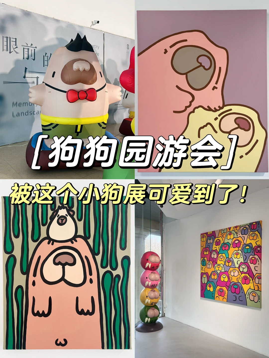 上海坠可爱的0r展览‼️狗狗园游会🐕