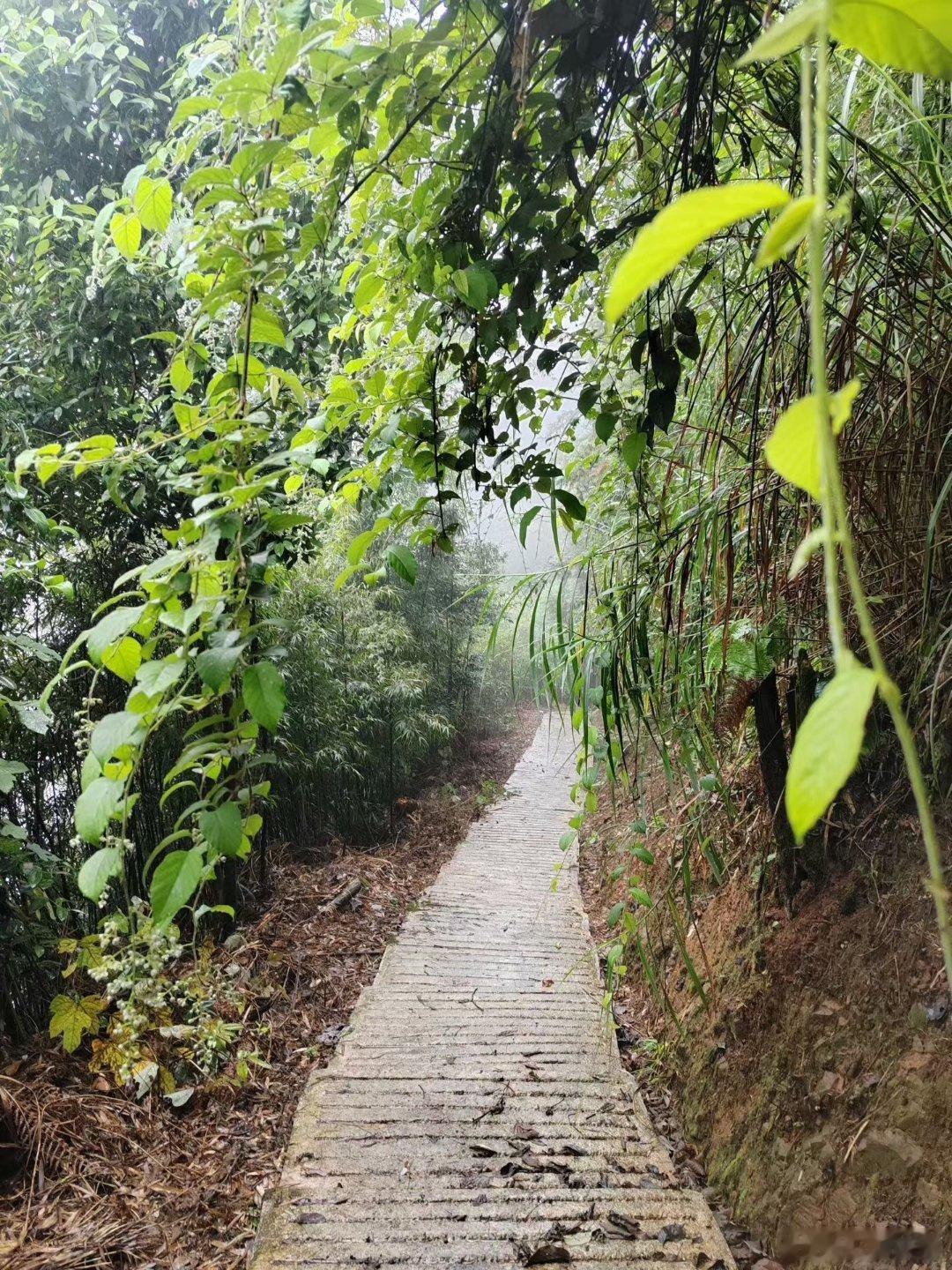 群处守嘴，独处守心。修己以清心为要，涉世以慎言为先。种瓜得瓜，种豆得豆；种下善良，收获善果。你只管行善，福报就在路上。 ​​​阿弥陀佛  ​​​