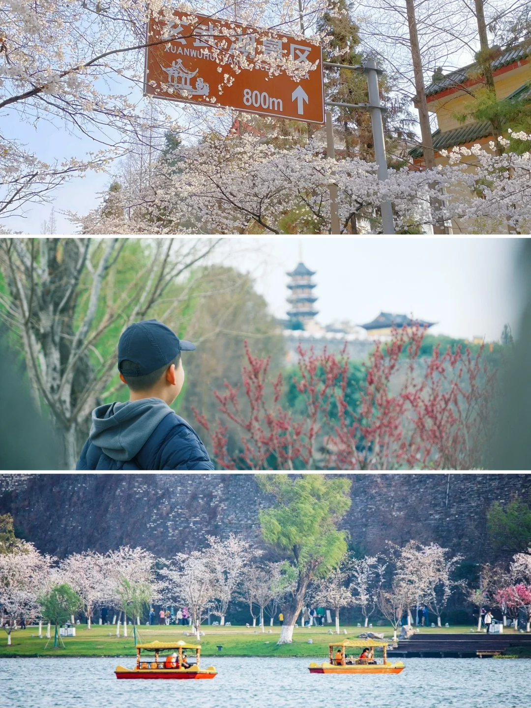 南京鸡鸣寺＋玄武湖赏樱攻略🌸很难找全的