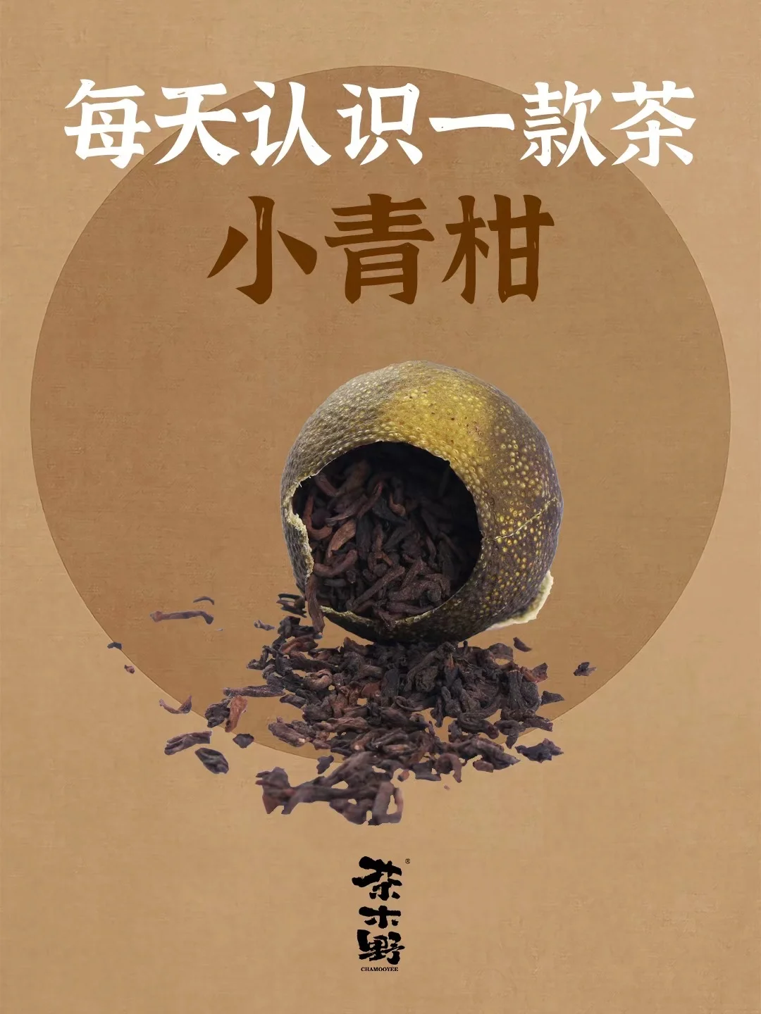 知识分享丨一分钟了解小青柑