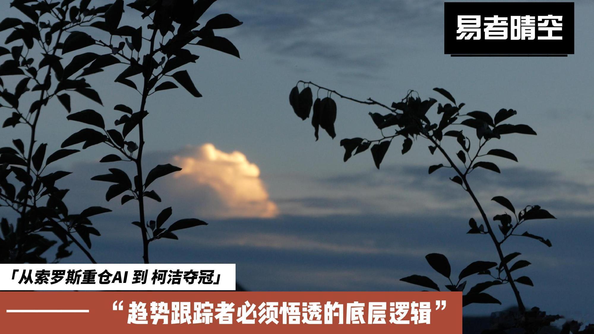 93岁的索罗斯痛批AI创造虚无，却疯狂加仓英伟达；败给AlphaGo九...