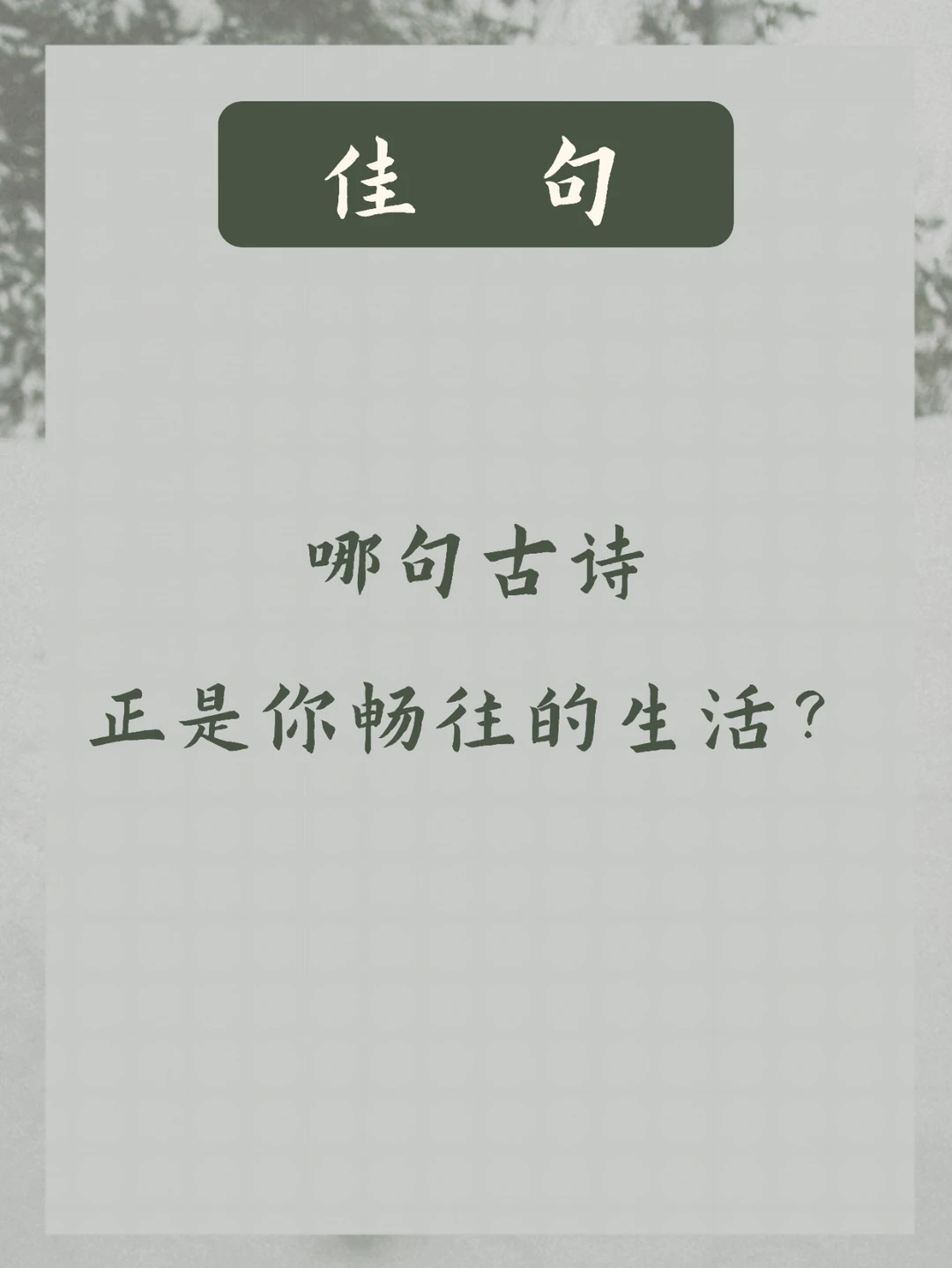 心之所向 | 诗歌里写的生活